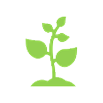 Learning and Development Consulting Services